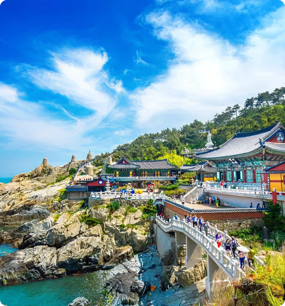 5N6D Educational Around Tour - Seoul & Busan