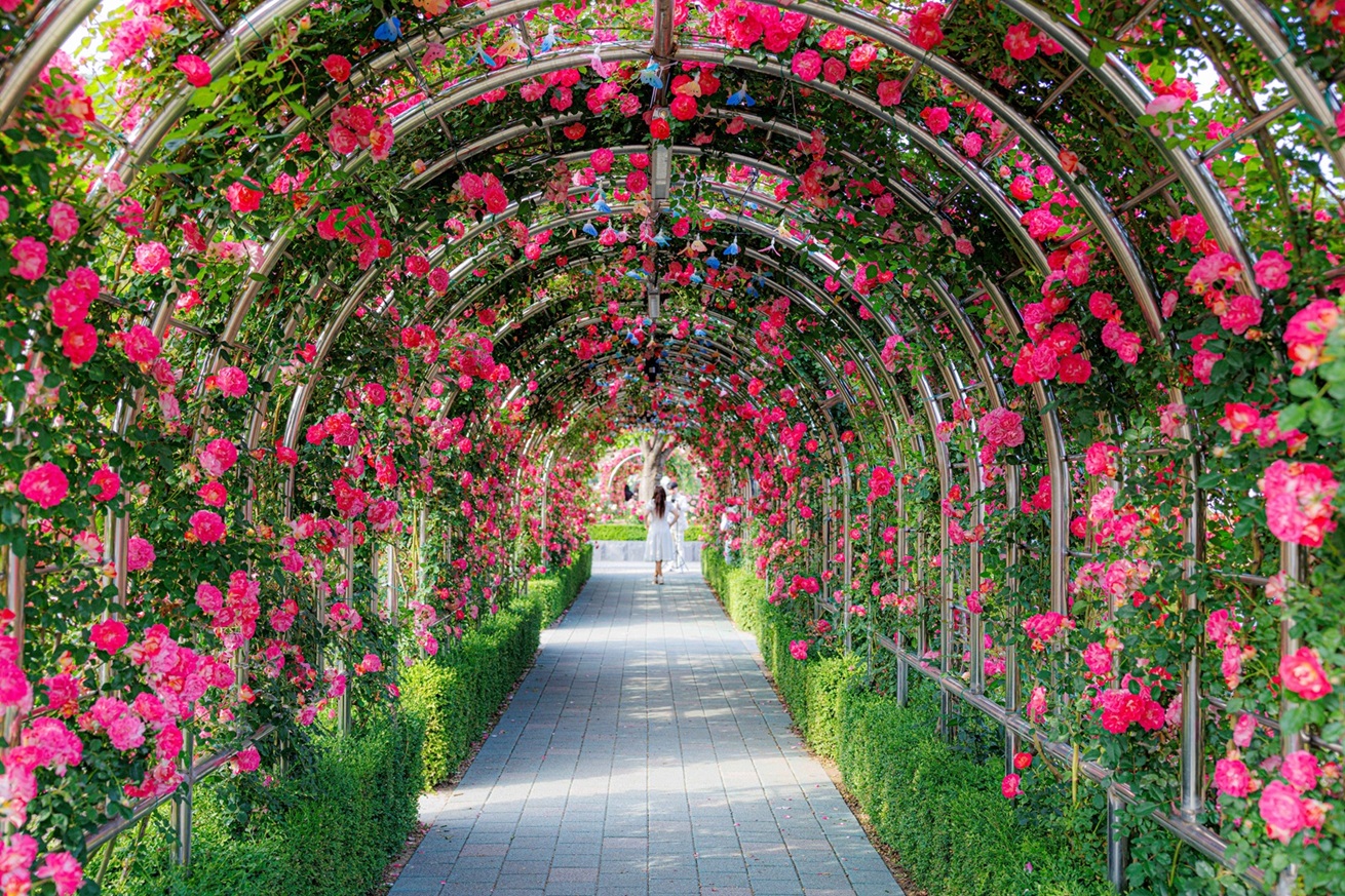 May Magic in Korea: Lanterns, Lush Greens, and Perfect Spring Adventures!
